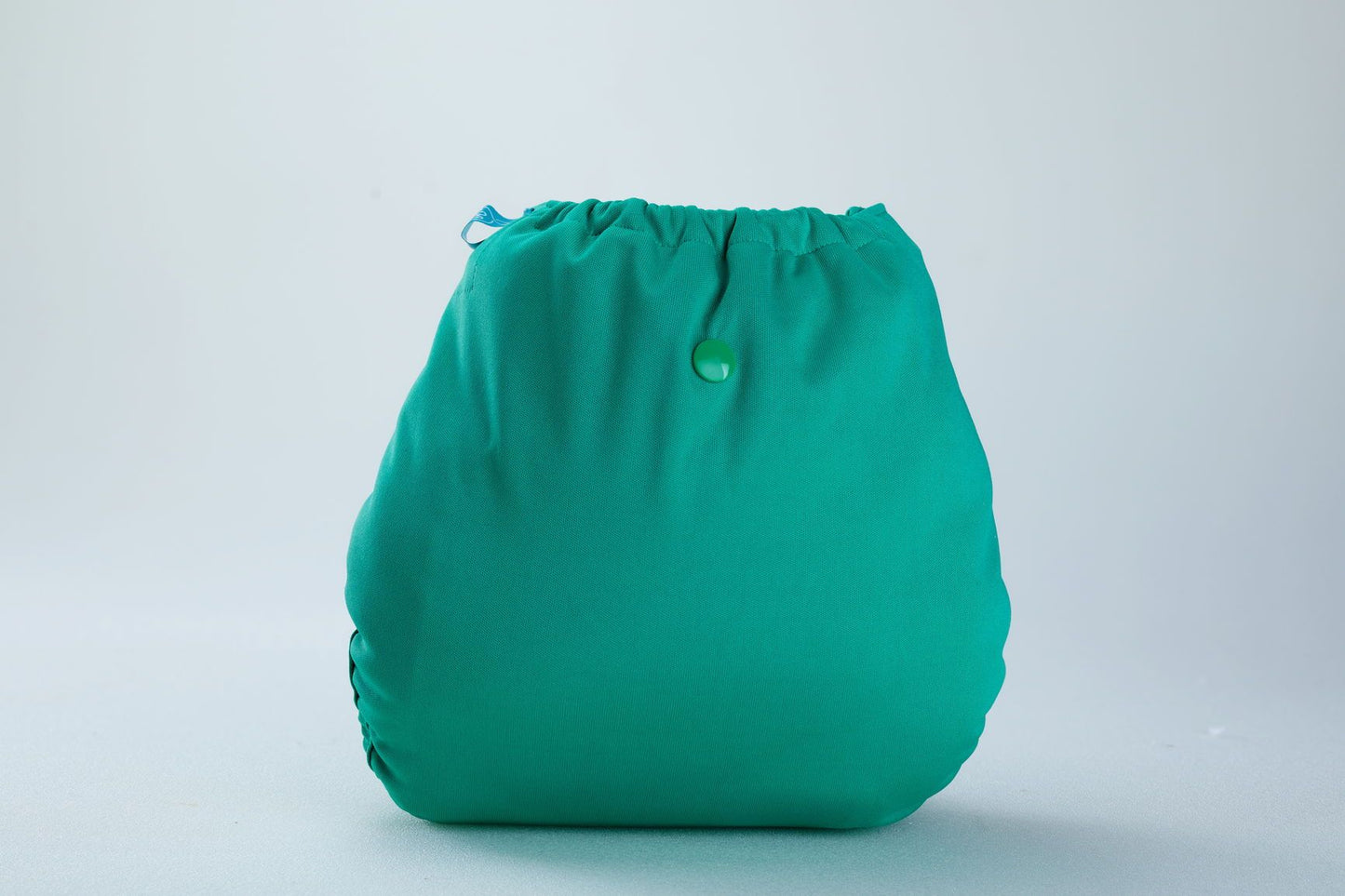 Diaper Cover (Blue Green) + 1 Wet free Insert